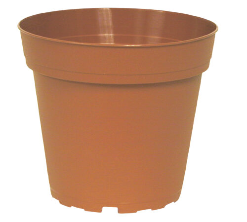 11 cm rigid pot
